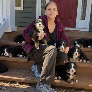 Meet your Posher, Bonny